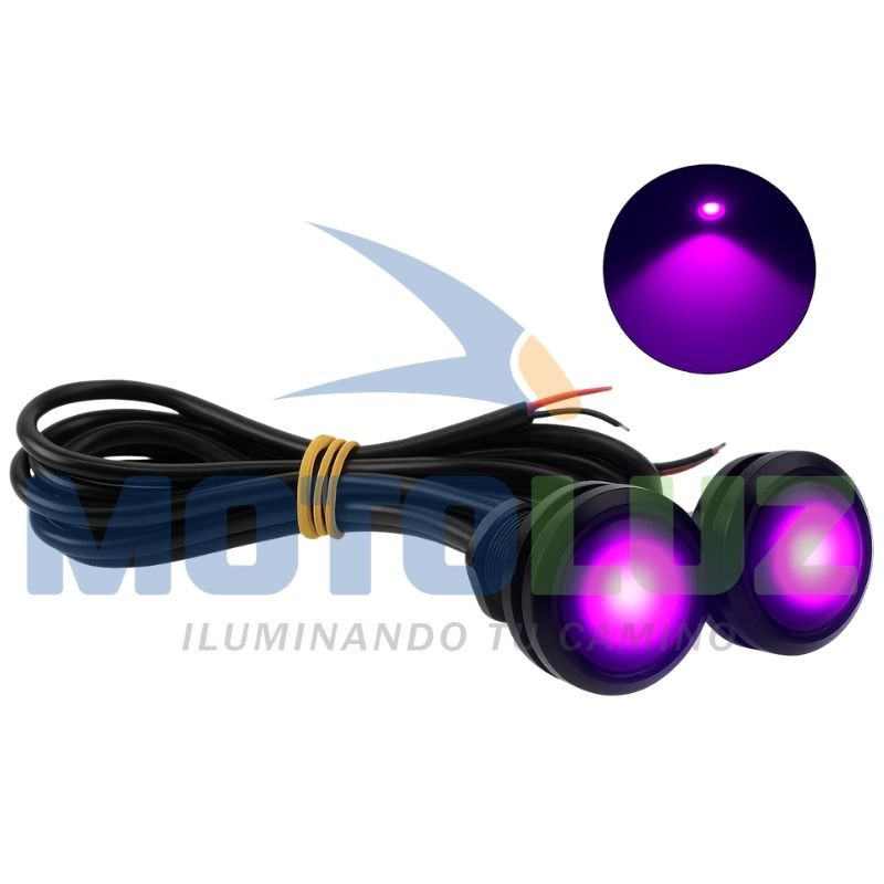 Ojos de aguila lila luz fija y cortadora 12 voltios