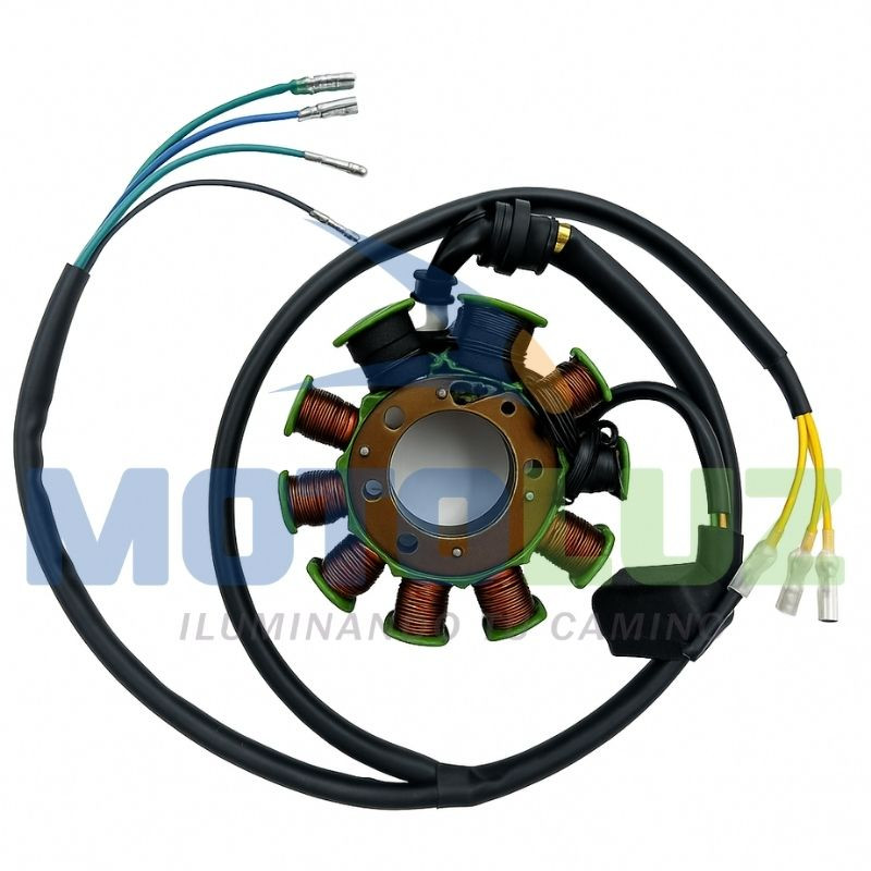 Alternador 12 polos (250w) bjr