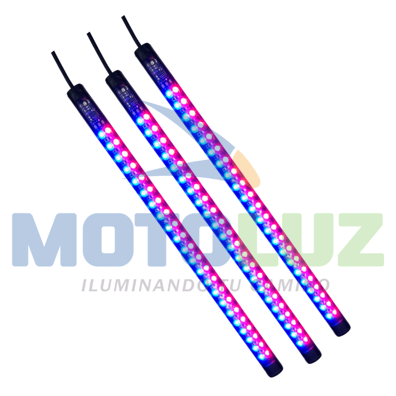 Cinta bicolor rojo/azul 12V